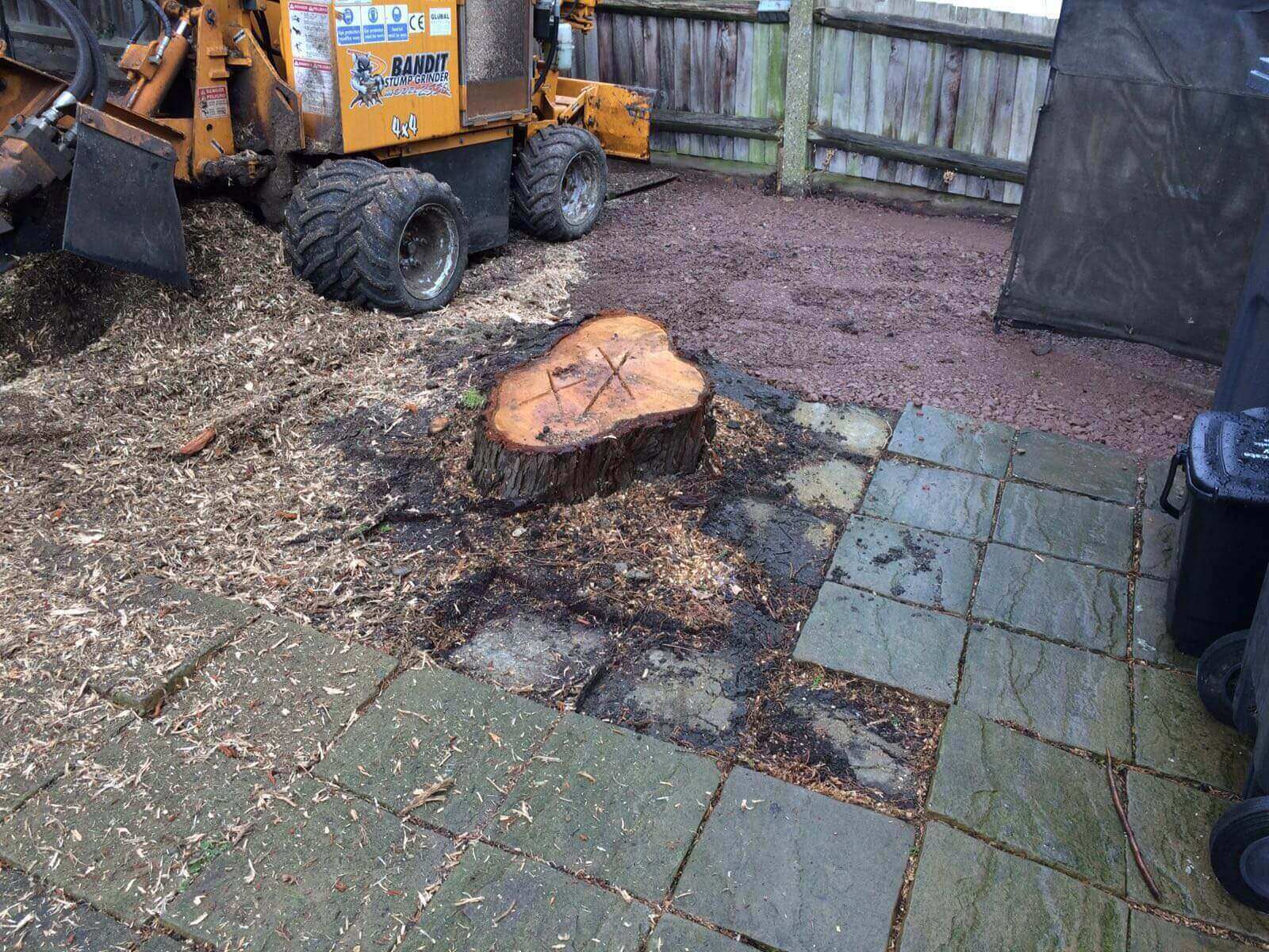 Tree Surgeons Upper Norwood SE19